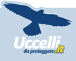 Uccelli da proteggere