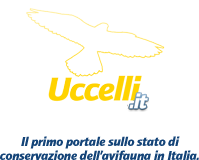 Uccelli da proteggere