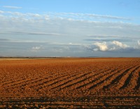 Ambienti agricoli, di M. Mendi