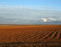 Ambienti agricoli, di M. Mendi