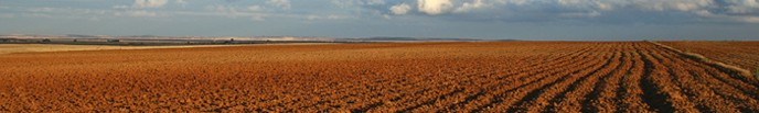 Ambienti agricoli, di M. Mendi