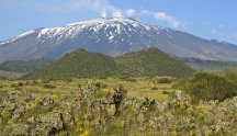 Coturnice di Sicilia (habitat), di T. Puma