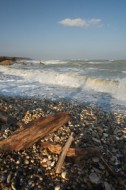 Punta Aderci (Vasto), di F. Damiani