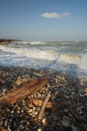 Punta Aderci (Vasto), di F. Damiani