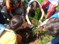 Educazione ambientale, archivio LIPU